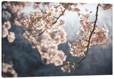 Picturesque Spring Blossom Canvas Art Print