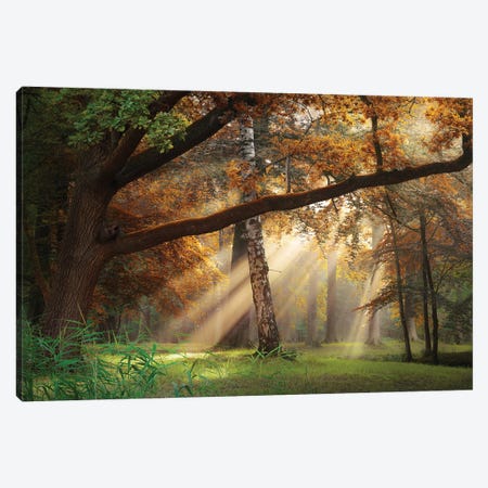 The Blossomed Witch Canvas Wall Art by Rob Visser | iCanvas