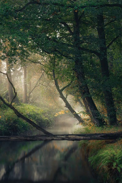 Monochromatic Photography: Stream Of Change by Rob Visser
