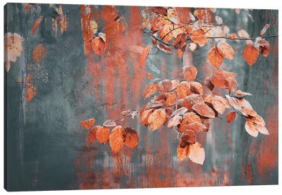 Art With Picturesque Autumn Leaves Canvas Art Print