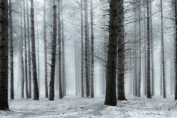 Monochromatic Photography: The Divine White by Rob Visser