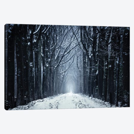 The Frozen Forest Path Canvas Print #RVS55} by Rob Visser Art Print