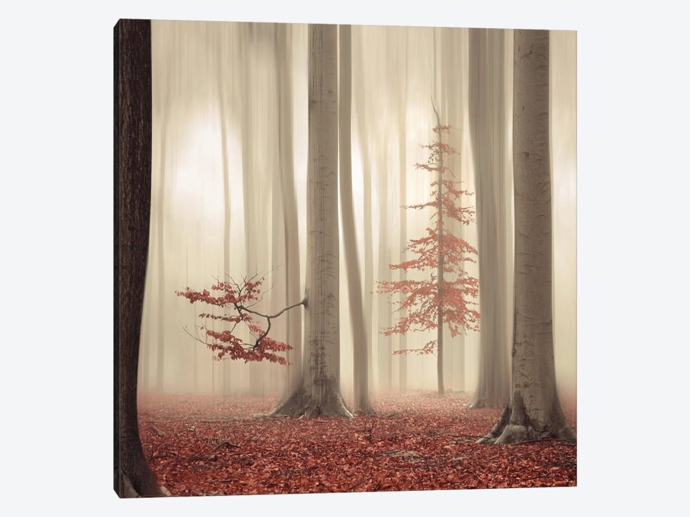 One Tree Life - The Humble One by Rob Visser 1-piece Art Print