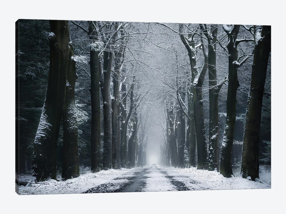 The Infinite Road by Rob Visser 1-piece Canvas Art