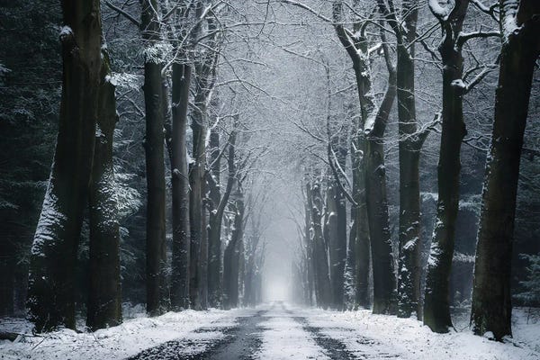 Snow: The Infinite Road by Rob Visser