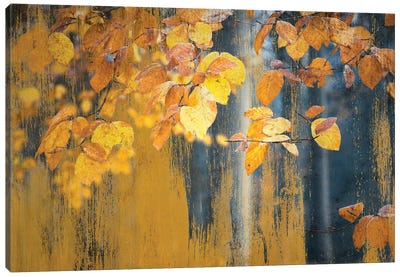 Art With Picturesque Yellow Leaves Canvas Art Print