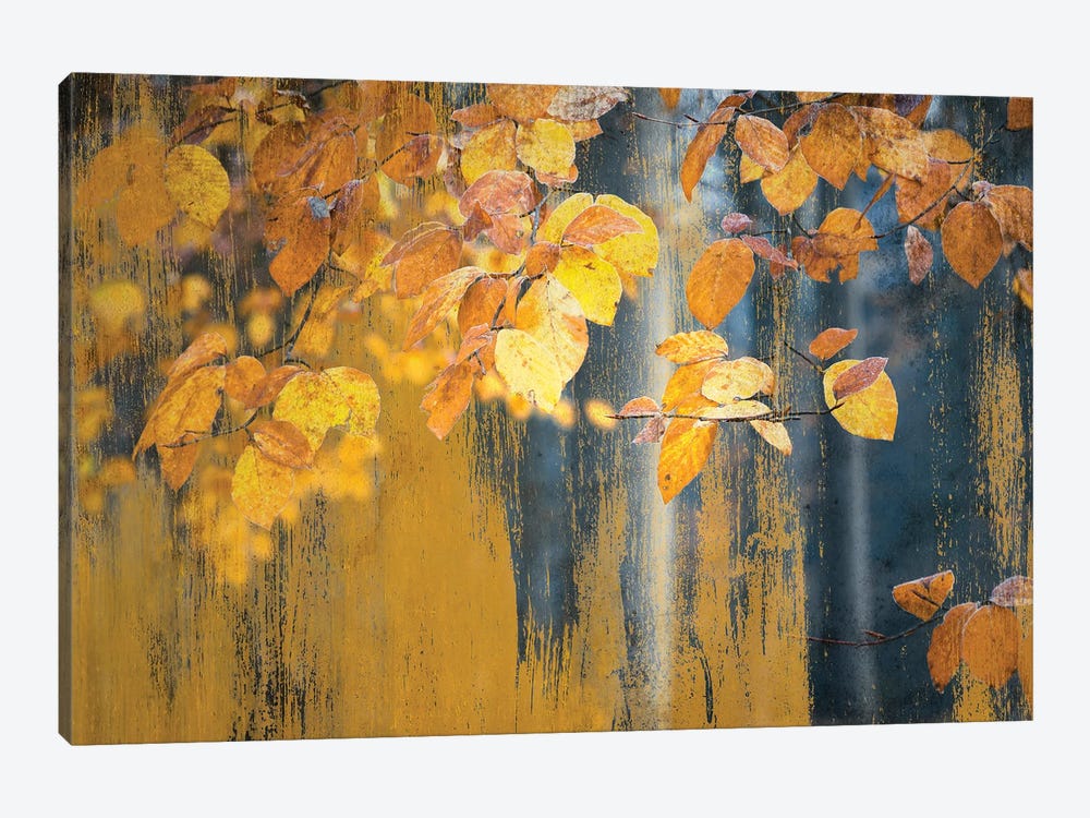 Art With Picturesque Yellow Leaves by Rob Visser 1-piece Canvas Artwork