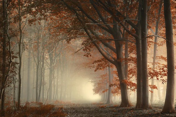 Atmospheric Photography: The Milky Way by Rob Visser