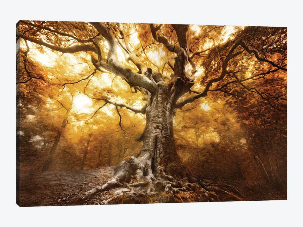 The Painted Witch by Rob Visser 1-piece Canvas Wall Art
