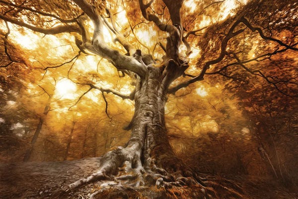 Monochromatic Photography: The Painted Witch by Rob Visser