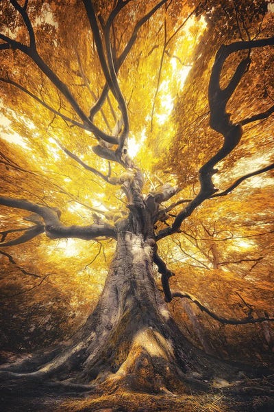 Atmospheric Photography: Thunderstorm by Rob Visser