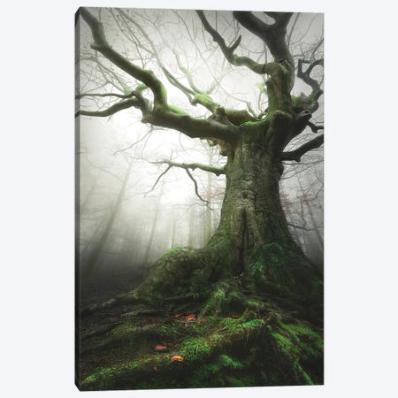 Witch Of Nature Canvas Print #RVS67} by Rob Visser Canvas Wall Art