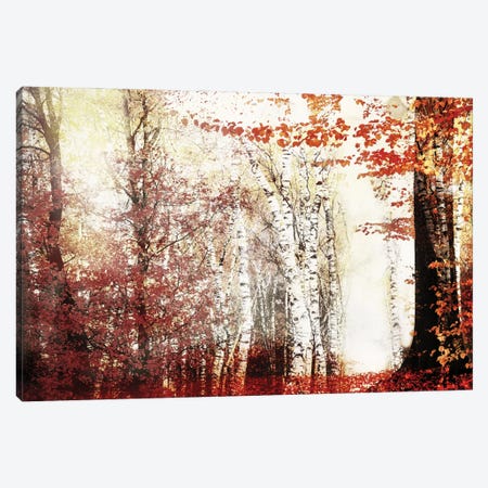 Window Of Autumn Canvas Print #RVS74} by Rob Visser Canvas Art Print