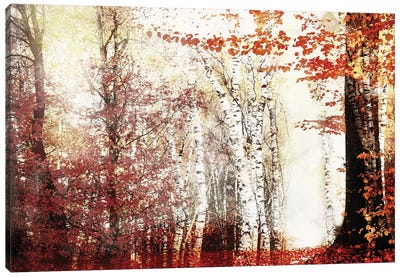 Window Of Autumn Canvas Art Print - Rob Visser