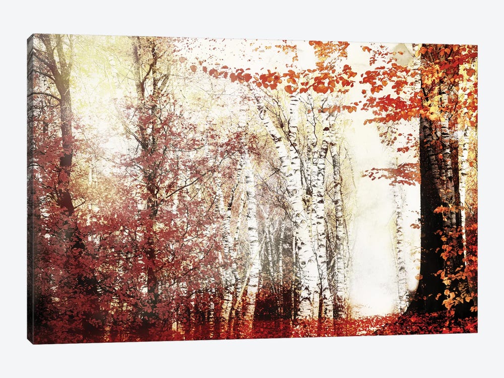 Window Of Autumn by Rob Visser 1-piece Canvas Print