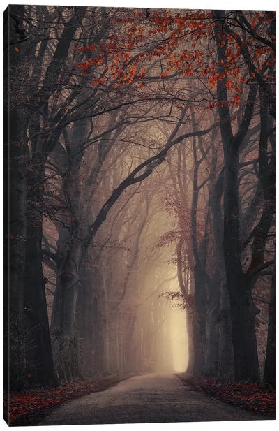 Time Shift Canvas Art Print - Atmospheric Photography