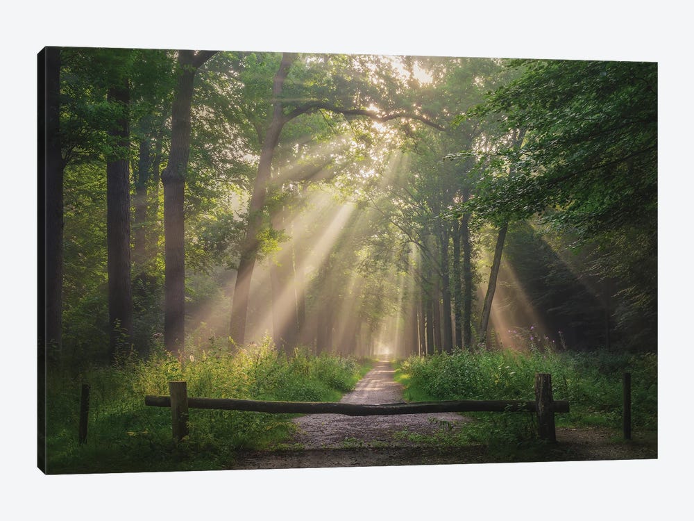 Hop Into Spring by Rob Visser 1-piece Canvas Wall Art