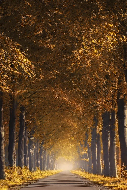 Golden Road