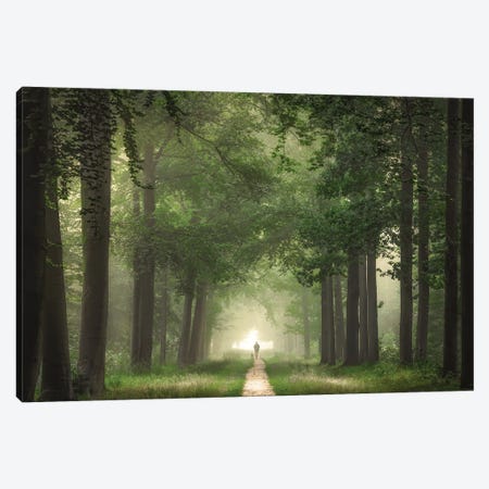 A Man In A Forest Canvas Print #RVS90} by Rob Visser Canvas Artwork