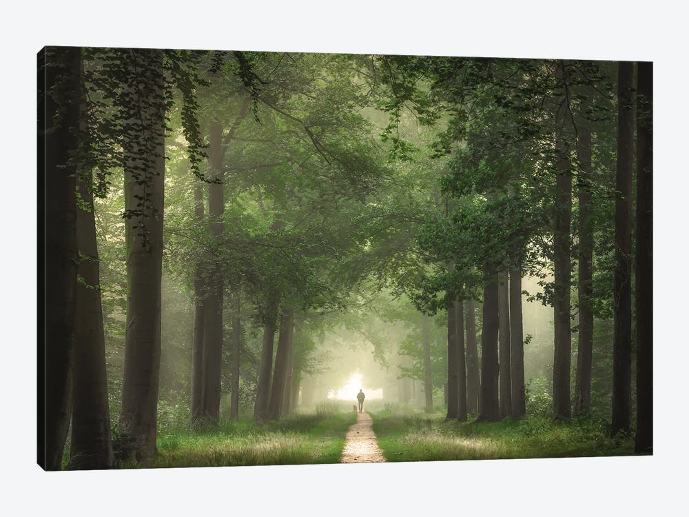 A Man In A Forest by Rob Visser 1-piece Canvas Print
