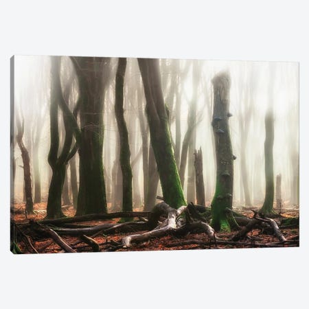 Woods Canvas Print #RVS91} by Rob Visser Canvas Wall Art