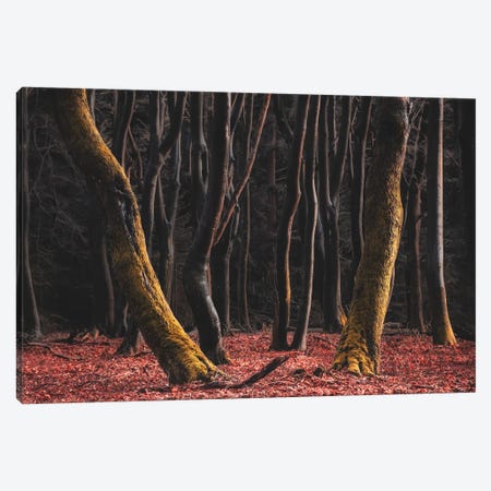 Dancing At The Speulderbos Canvas Print #RVS92} by Rob Visser Canvas Wall Art