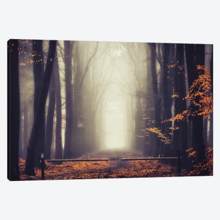 Thick Foggy Autumn Canvas Print #RVS94} by Rob Visser Canvas Art Print