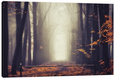 Thick Foggy Autumn Canvas Art Print - Atmospheric Photography