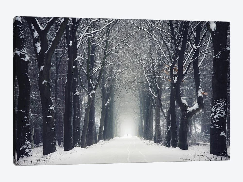 Snowy Forest Road by Rob Visser 1-piece Canvas Print