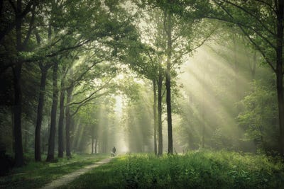 Walking The Dog by Rob Visser art print
