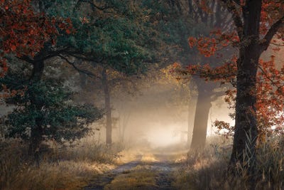 Autumn