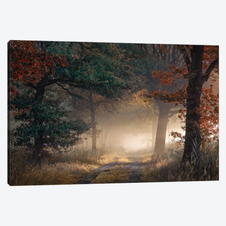 Beginning Of Autumn In A Foggy Forest Canvas Print #RVS9} by Rob Visser Canvas Print