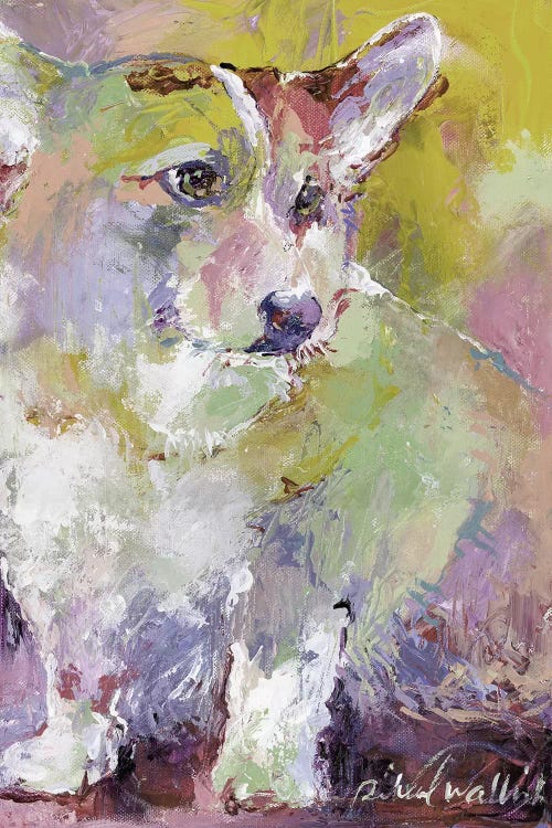 Corgi by Richard Wallich wall art