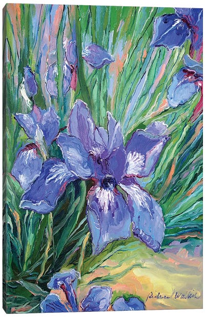 Iris Canvas Art Print - Iris Art