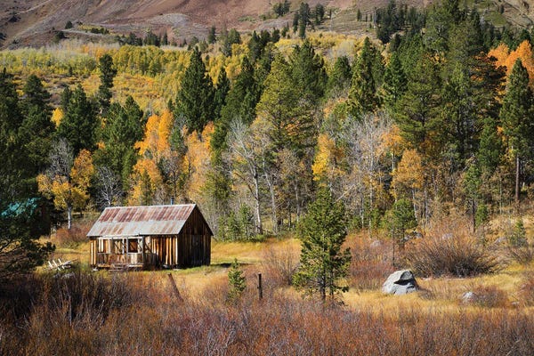 Cabins: Rustic Barn by Richard Wong