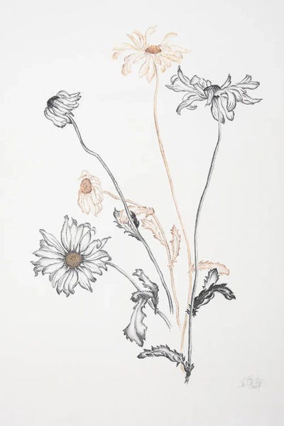 Minimalist Décor: Where Have All The Flowers Gone .. by Mette Rix