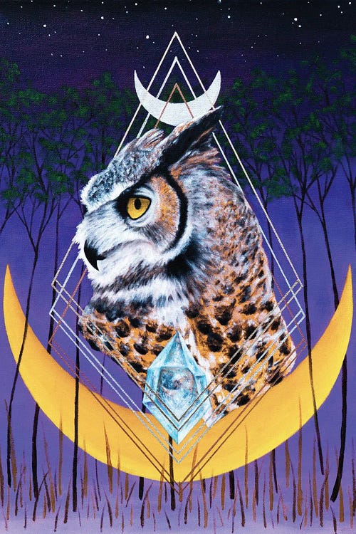 Age Of The Owl