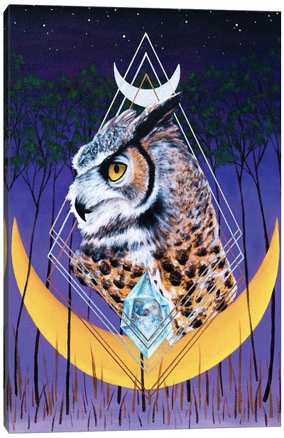 Age Of The Owl Canvas Art Print - Ryan Blume