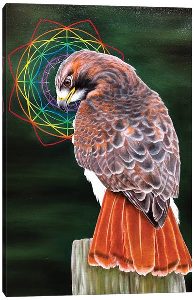 I Canvas Art Print - Buzzard & Hawk Art