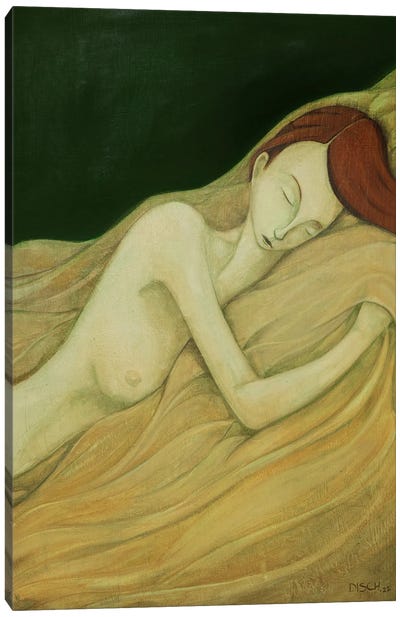 Forgotten Dreams Canvas Art Print - Remy Disch