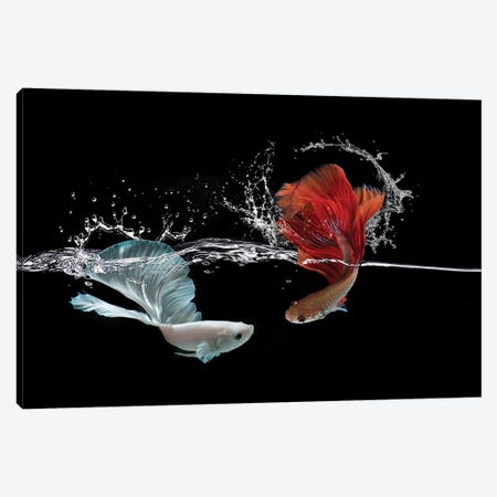 Pisces Canvas Print #RYG10} by Robin Yong Canvas Artwork