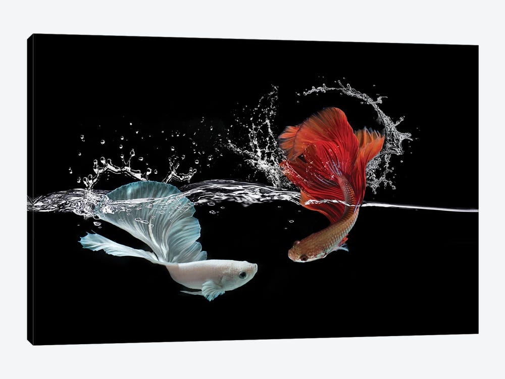 Pisces by Robin Yong 1-piece Canvas Wall Art