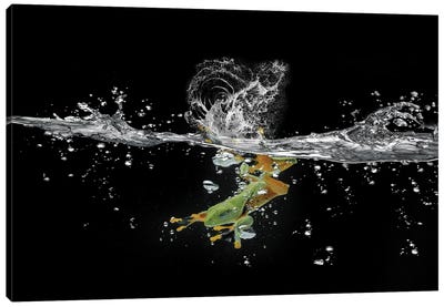 Ahah River Flying Frog Canvas Art Print - Robin Yong