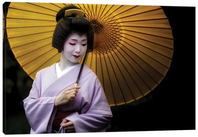 Geisha Story Canvas Art Print