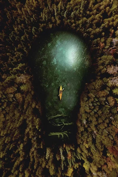 Idea Pool by Shaun Ryken art print