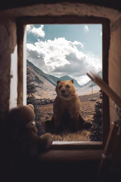 Grizzly Bears: Love Unbearably by Shaun Ryken