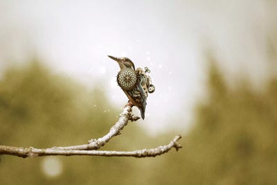 Mechanical Hummingbird by Shaun Ryken art print