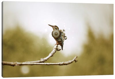 Mechanical Hummingbird Canvas Art Print - Shaun Ryken