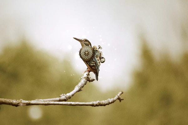 Hummingbirds: Mechanical Hummingbird by Shaun Ryken