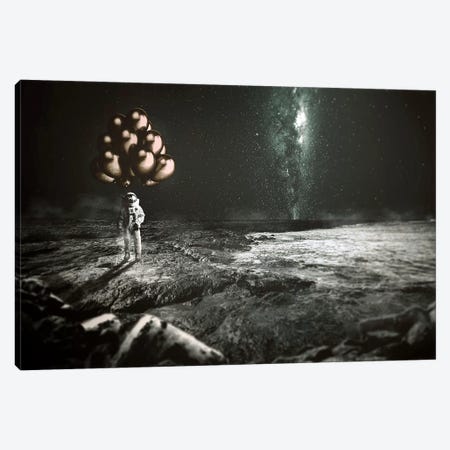 No Gravity Canvas Print #RYK19} by Shaun Ryken Canvas Artwork